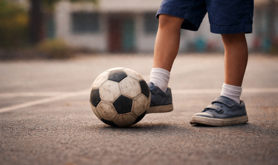 Les obstacles majeurs rencontrés par les jeunes Khmers en France